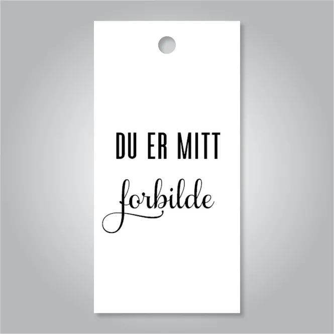 Hovedbilde Du er mitt forbilde 